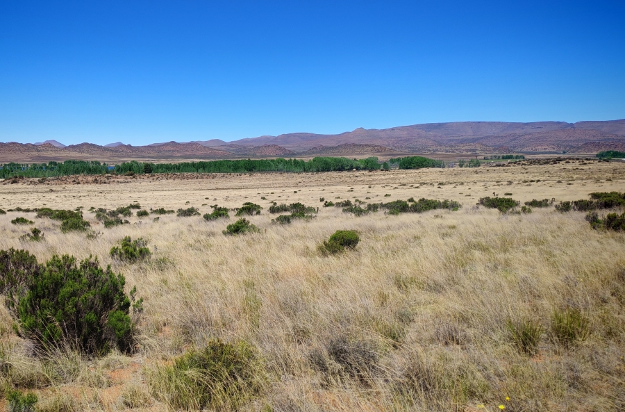4 Bedroom Property for Sale in Middelburg Rural Eastern Cape